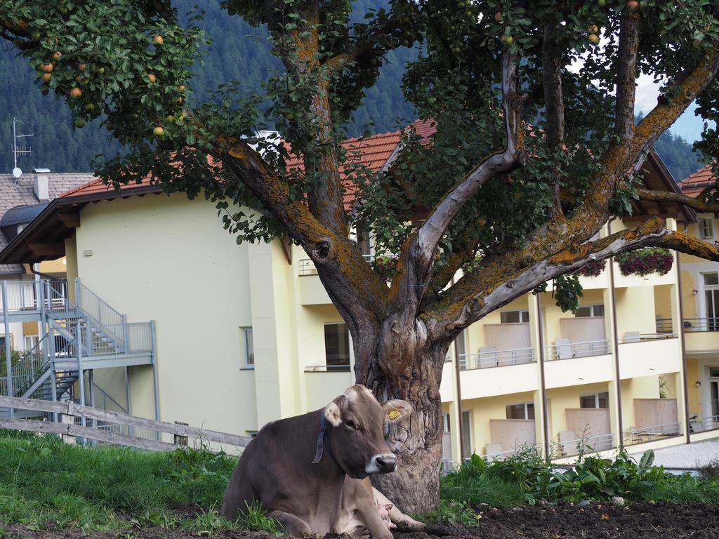 Obermairhof Vila Olang Exterior foto